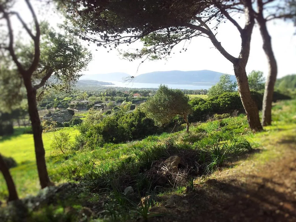 Bed and Breakfast B&B Shardana Αλγκέρο